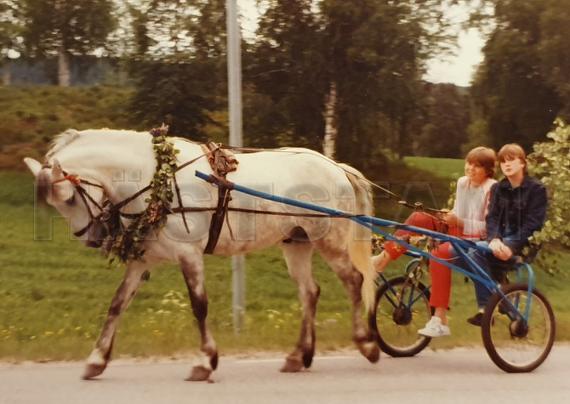 Profilbild