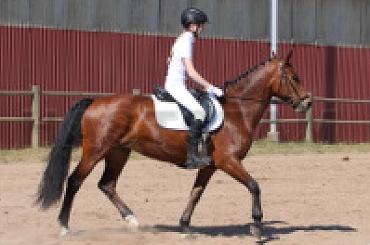 Profilbild