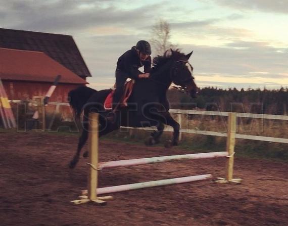 Profilbild