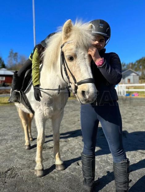 Profilbild