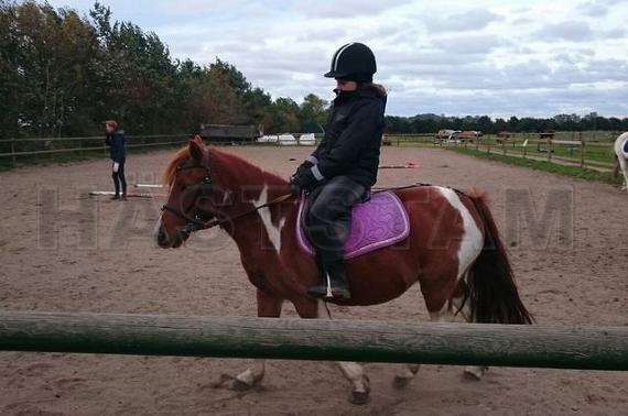 Profilbild