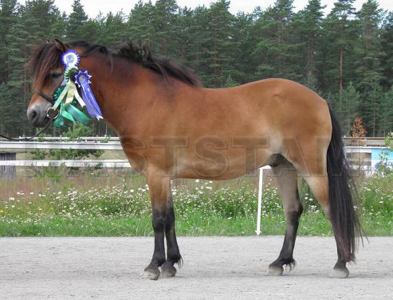 Profilbild