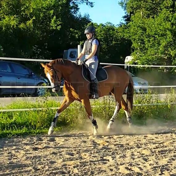 Profilbild