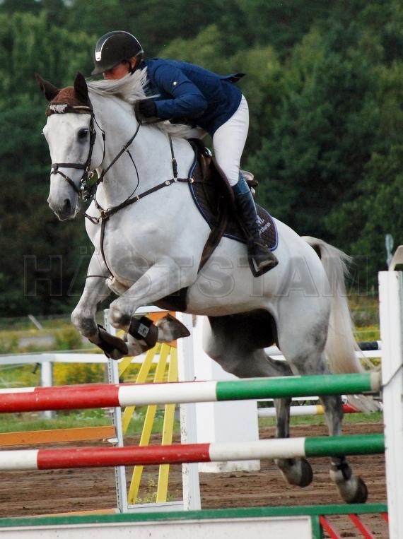 Profilbild