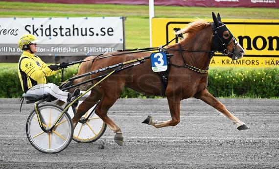 Profilbild