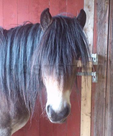 Profilbild