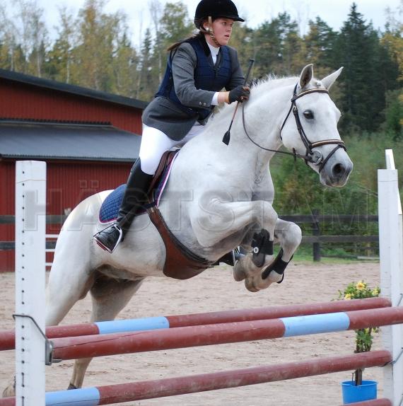 Profilbild