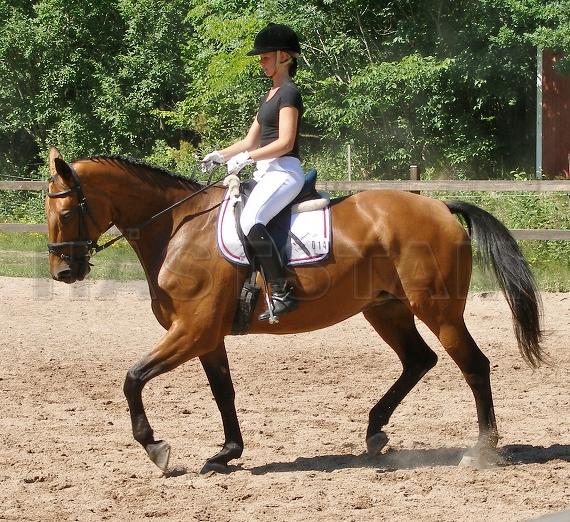 Profilbild
