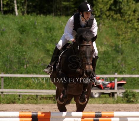 Profilbild
