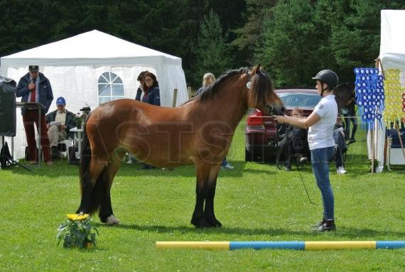 Profilbild
