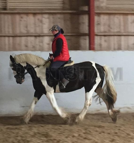 Profilbild