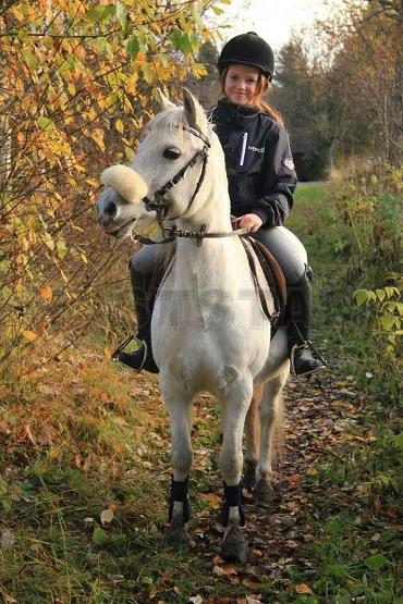 Profilbild