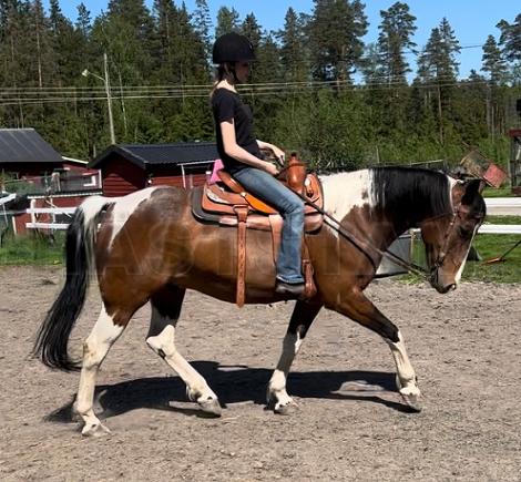 Profilbild