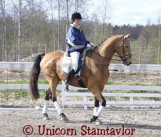 Profilbild