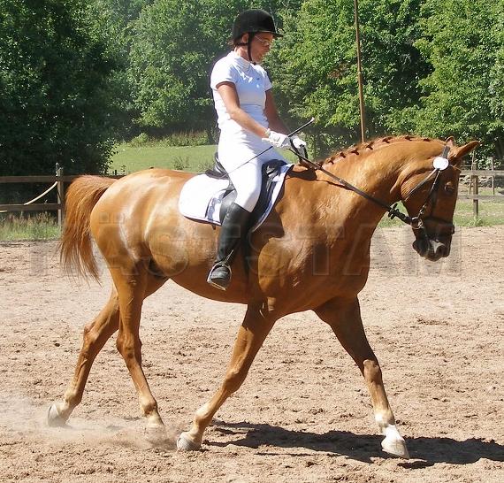 Profilbild