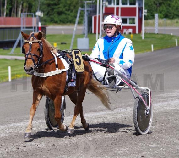 Profilbild