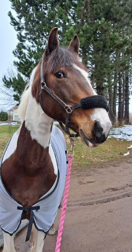 Profilbild