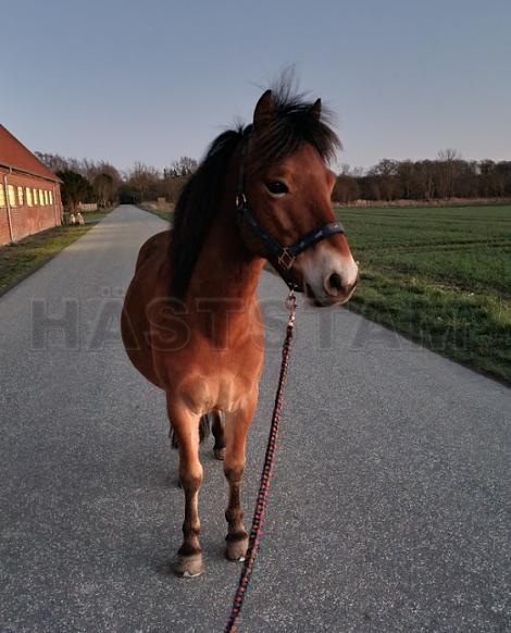 Profilbild