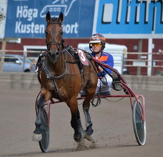 Profilbild