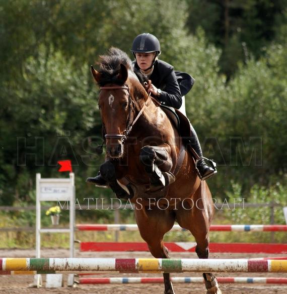 Profilbild