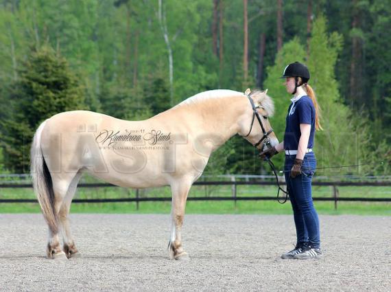 Profilbild