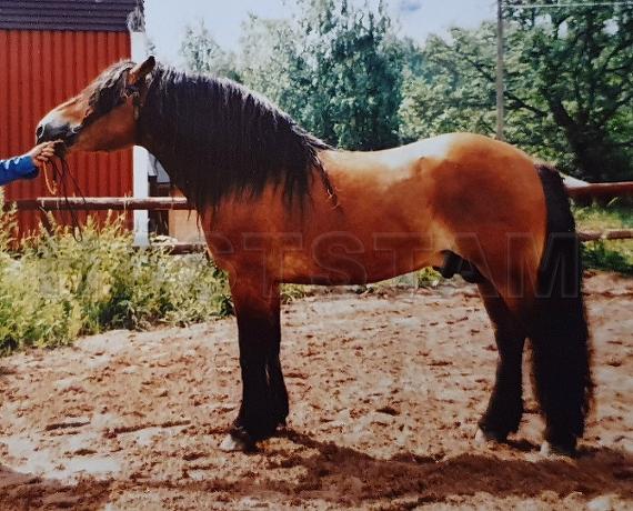 Profilbild