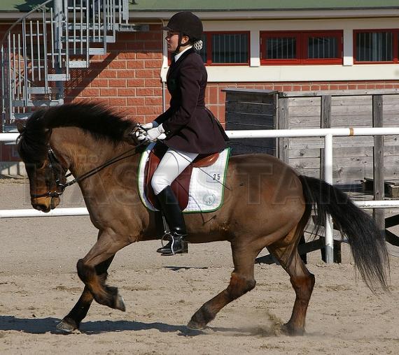 Profilbild