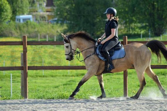 Profilbild