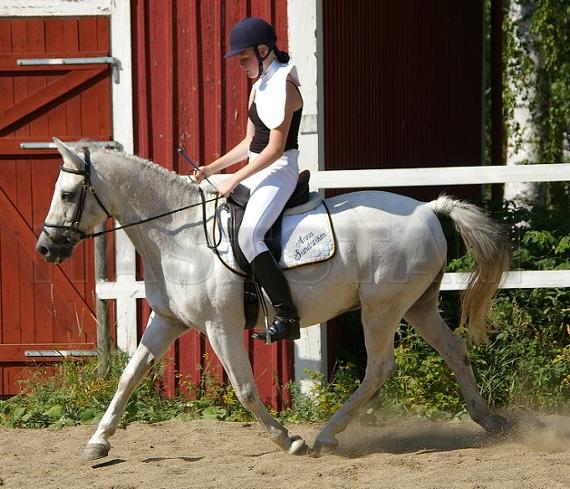 Profilbild