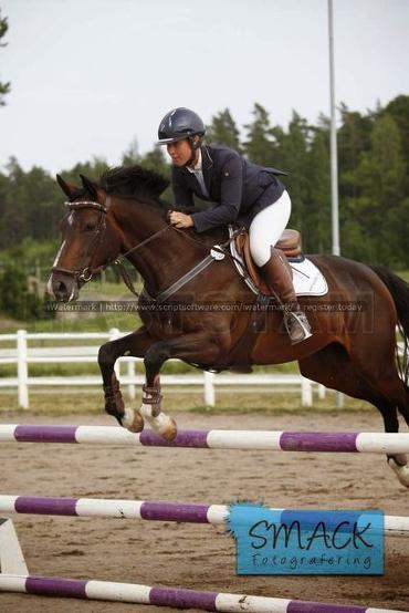 Profilbild