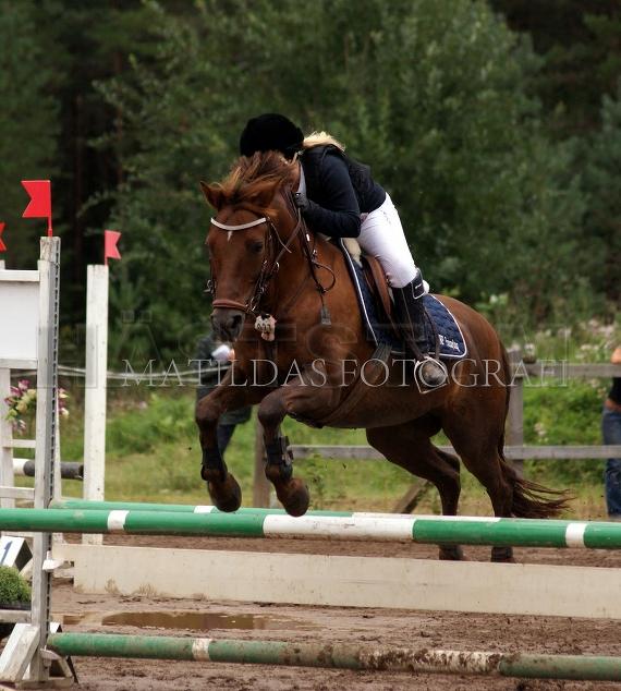Profilbild