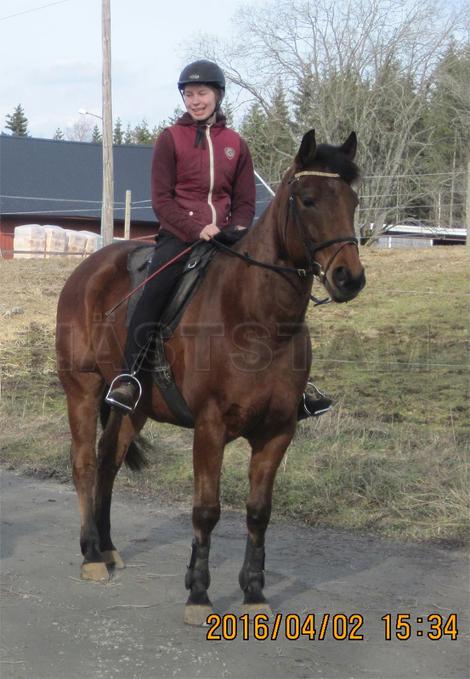 Profilbild