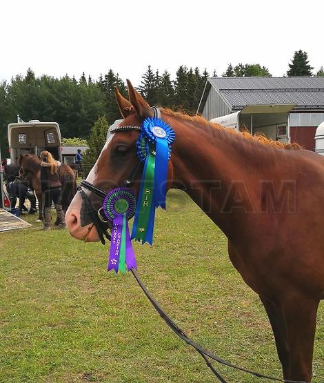 Profilbild