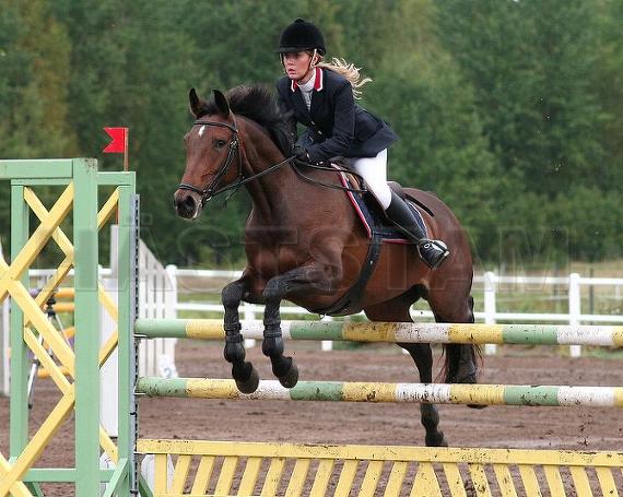 Profilbild