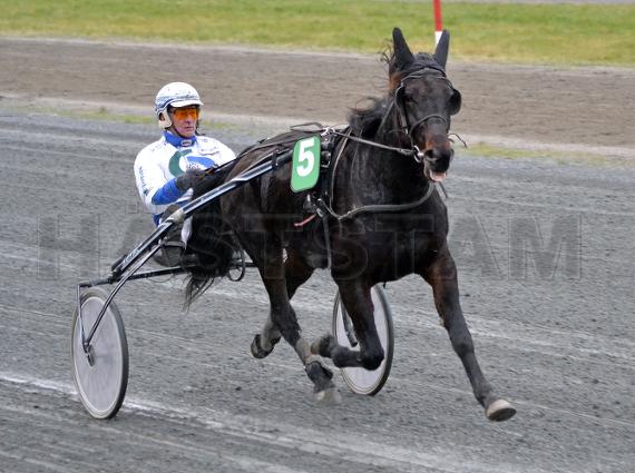 Profilbild