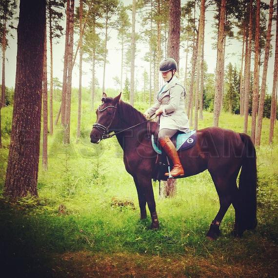 Profilbild