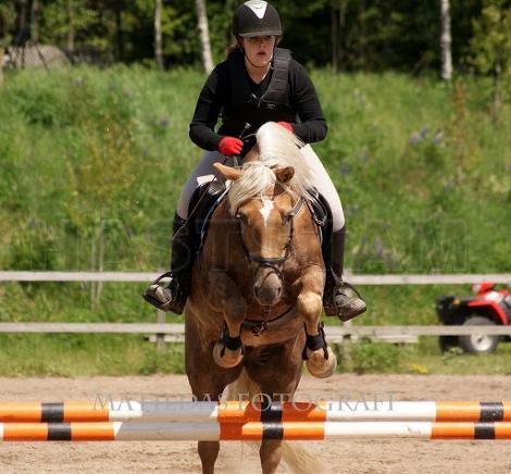 Profilbild