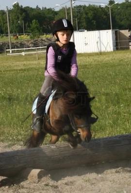 Profilbild