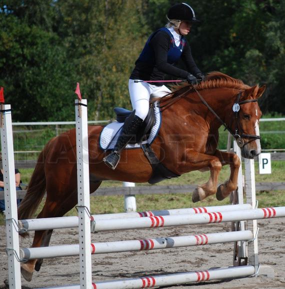 Profilbild