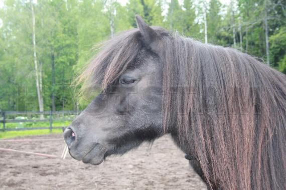 Profilbild