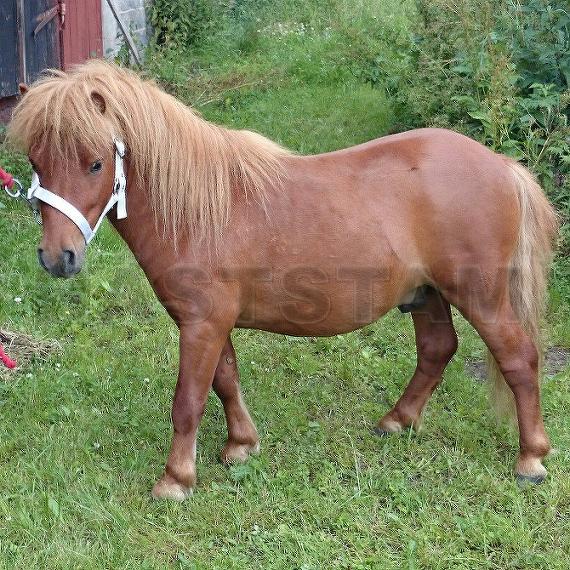 Profilbild