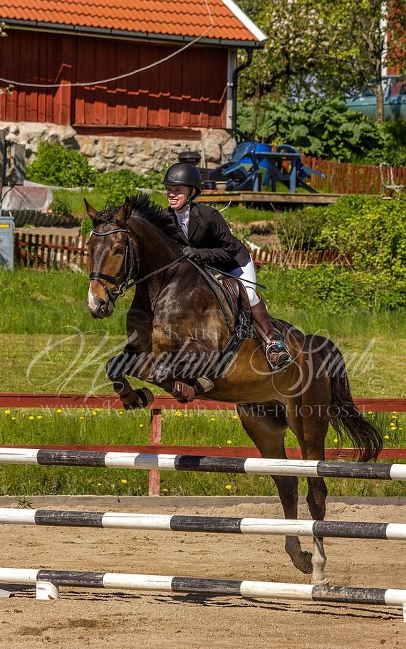 Profilbild
