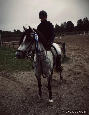Profilbild