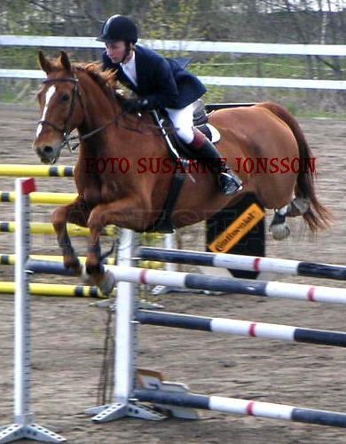 Profilbild