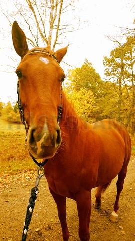 Profilbild