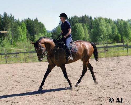 Profilbild