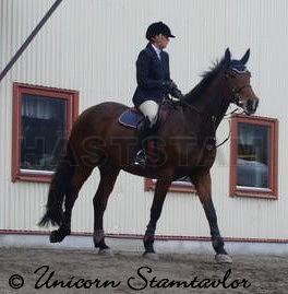 Profilbild
