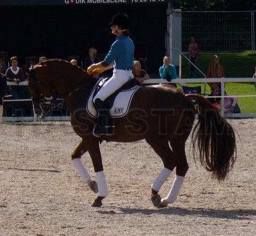 Profilbild