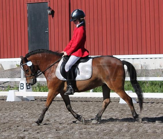 Profilbild