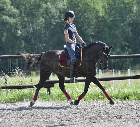 Profilbild